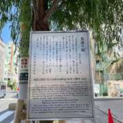 ヒメ日記 2026/06/17 14:14 投稿 みつは コートダジュール