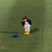 ヒメ日記 2026/07/12 12:39 投稿 みつは コートダジュール