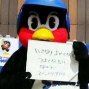ヒメ日記 2026/07/13 20:04 投稿 みつは コートダジュール