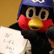ヒメ日記 2026/07/22 08:33 投稿 みつは コートダジュール