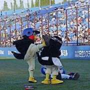 ヒメ日記 2026/09/01 22:25 投稿 みつは コートダジュール