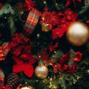 ヒメ日記 2025/12/25 00:03 投稿 もも 所沢東村山ちゃんこ