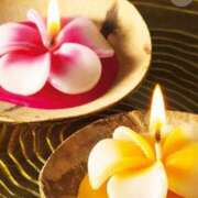 ヒメ日記 2026/04/08 13:41 投稿 もも 所沢東村山ちゃんこ