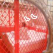 ヒメ日記 2026/01/08 16:01 投稿 あやの ぷるるん小町 京橋店