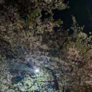 ヒメ日記 2026/04/09 12:06 投稿 あやの ぷるるん小町 京橋店