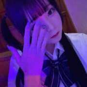 ヒメ日記 2025/12/07 23:38 投稿 ちわわ 完全密室 無抵抗