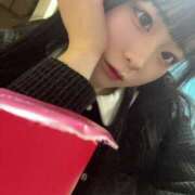 ヒメ日記 2025/12/08 15:44 投稿 ちわわ 完全密室 無抵抗