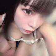 ヒメ日記 2025/12/10 13:44 投稿 ちわわ 完全密室 無抵抗