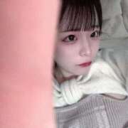 ヒメ日記 2025/12/11 17:06 投稿 ちわわ 完全密室 無抵抗