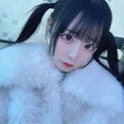 ヒメ日記 2025/12/11 23:28 投稿 ちわわ 完全密室 無抵抗