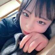 ヒメ日記 2025/12/12 13:39 投稿 ちわわ 完全密室 無抵抗