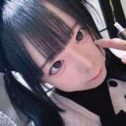 ヒメ日記 2025/12/13 18:47 投稿 ちわわ 完全密室 無抵抗