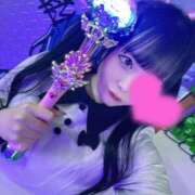 ヒメ日記 2025/12/13 22:34 投稿 ちわわ 完全密室 無抵抗