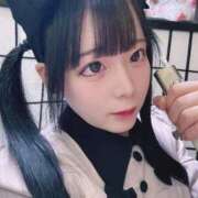 ヒメ日記 2025/12/14 12:54 投稿 ちわわ 完全密室 無抵抗