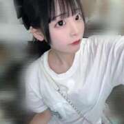 ヒメ日記 2025/12/15 15:45 投稿 ちわわ 完全密室 無抵抗