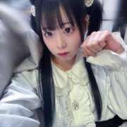 ヒメ日記 2025/12/15 17:36 投稿 ちわわ 完全密室 無抵抗