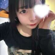 ヒメ日記 2025/12/15 18:19 投稿 ちわわ 完全密室 無抵抗