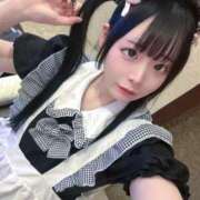 ヒメ日記 2025/12/15 22:55 投稿 ちわわ 完全密室 無抵抗