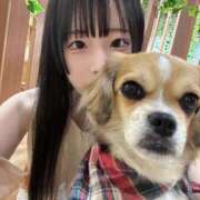 ヒメ日記 2025/12/17 00:06 投稿 ちわわ 完全密室 無抵抗