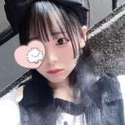 ヒメ日記 2025/12/18 13:28 投稿 ちわわ 完全密室 無抵抗