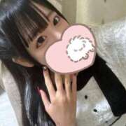 ヒメ日記 2025/12/18 23:57 投稿 ちわわ 完全密室 無抵抗