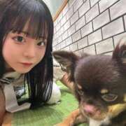 ヒメ日記 2025/12/19 23:45 投稿 ちわわ 完全密室 無抵抗