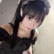 ヒメ日記 2025/12/23 23:18 投稿 ちわわ 完全密室 無抵抗