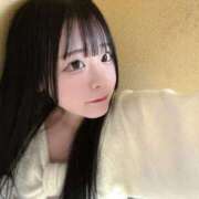 ヒメ日記 2025/12/24 14:04 投稿 ちわわ 完全密室 無抵抗