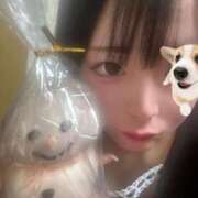 ヒメ日記 2025/12/28 01:12 投稿 ちわわ 完全密室 無抵抗