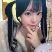 ヒメ日記 2025/12/28 23:30 投稿 ちわわ 完全密室 無抵抗