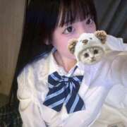 ヒメ日記 2025/12/29 13:08 投稿 ちわわ 完全密室 無抵抗