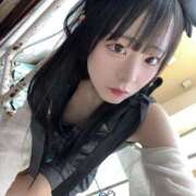 ヒメ日記 2025/12/29 17:30 投稿 ちわわ 完全密室 無抵抗