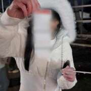 ヒメ日記 2026/01/03 01:07 投稿 ちわわ 完全密室 無抵抗