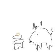 ヒメ日記 2026/01/05 01:58 投稿 ちわわ 完全密室 無抵抗