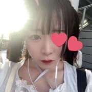 ヒメ日記 2026/01/07 00:07 投稿 ちわわ 完全密室 無抵抗