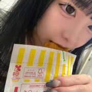 ヒメ日記 2026/01/09 00:26 投稿 ちわわ 完全密室 無抵抗