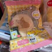 ヒメ日記 2026/01/09 22:18 投稿 ちわわ 完全密室 無抵抗