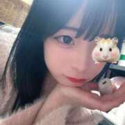 ヒメ日記 2026/01/17 18:52 投稿 ちわわ 完全密室 無抵抗