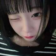 ヒメ日記 2026/01/18 01:00 投稿 ちわわ 完全密室 無抵抗