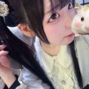 ちわわ これから🧚‍♀️ 完全密室 無抵抗