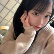 ヒメ日記 2026/02/01 23:31 投稿 ちわわ 完全密室 無抵抗