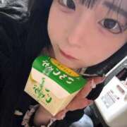 ヒメ日記 2026/02/03 15:31 投稿 ちわわ 完全密室 無抵抗