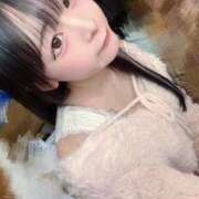 ヒメ日記 2026/02/07 15:55 投稿 ちわわ 完全密室 無抵抗