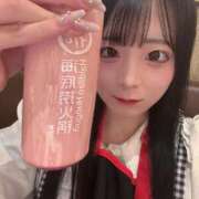 ヒメ日記 2026/02/13 15:18 投稿 ちわわ 完全密室 無抵抗