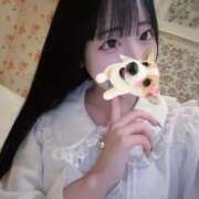 ヒメ日記 2026/02/14 15:09 投稿 ちわわ 完全密室 無抵抗