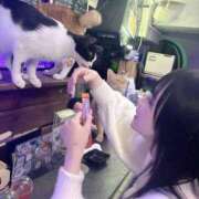 ヒメ日記 2026/02/19 15:21 投稿 ちわわ 完全密室 無抵抗