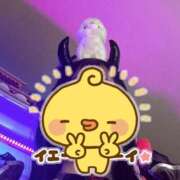 ヒメ日記 2026/02/22 14:28 投稿 ちわわ 完全密室 無抵抗