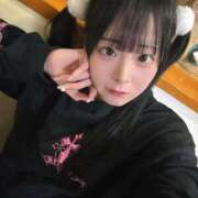 ヒメ日記 2026/02/24 17:20 投稿 ちわわ 完全密室 無抵抗