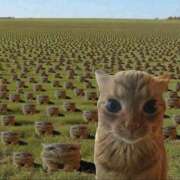 ヒメ日記 2026/02/26 13:59 投稿 ちわわ 完全密室 無抵抗