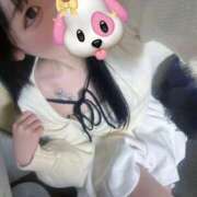 ヒメ日記 2026/02/28 15:52 投稿 ちわわ 完全密室 無抵抗